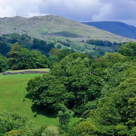 Buttercup Troutbeck (South Lakeland)